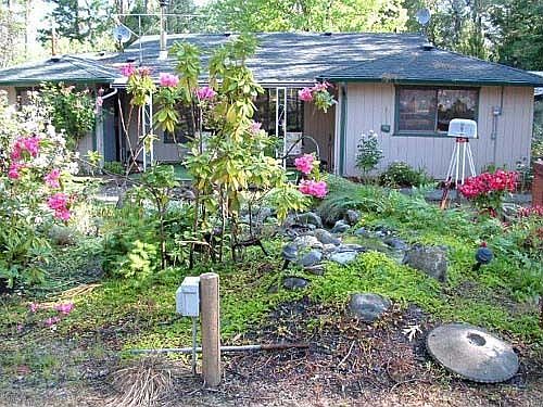 back yard in bloom