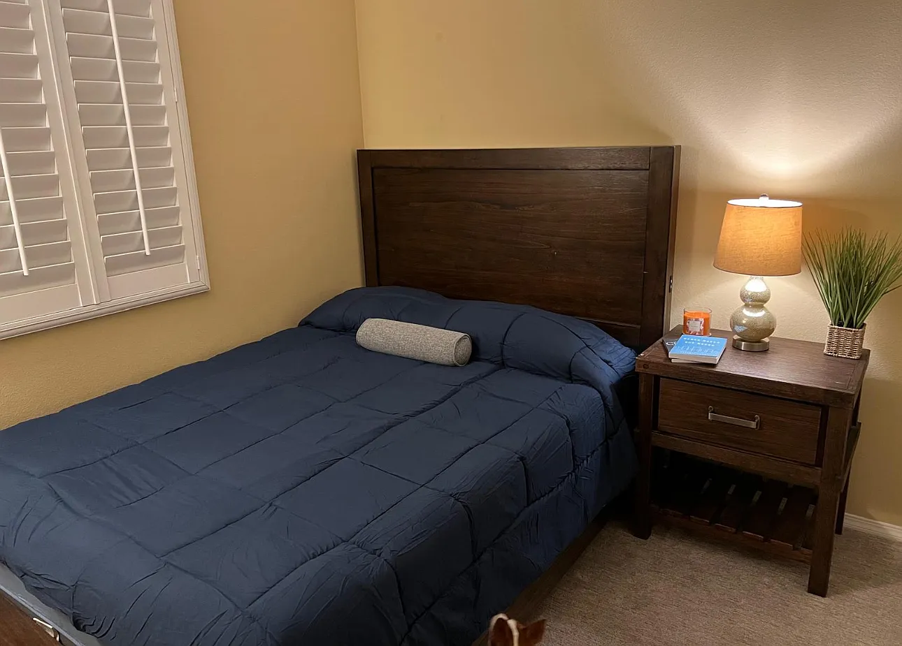 5 bed, 3100 sqft, $900 — Photo 4