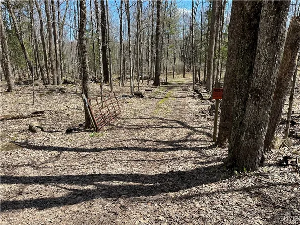 8564 Dicob Rd #22, Croghan, NY 13327