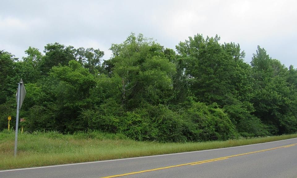 2nd image of Tbd Hwy 43 30 Acres
