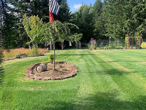lawn