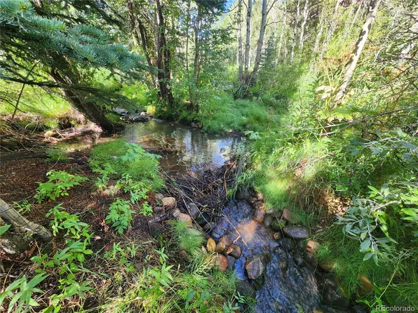 531 Caribou Road, Nederland, CO 80466