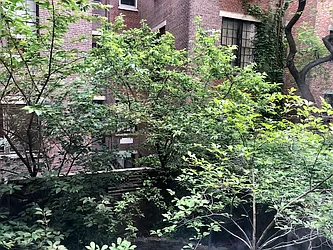 Rented by David Francis New York LLC