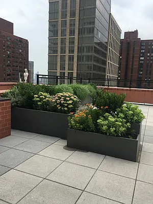 Rented by Douglas Elliman | media 15