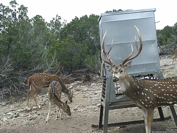 TBD West Nueces Ranch, Lot 20, Rocksprings, TX 78880