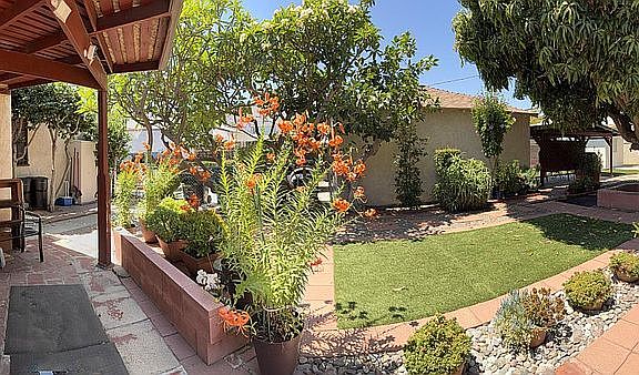 Backyard porch garden area.