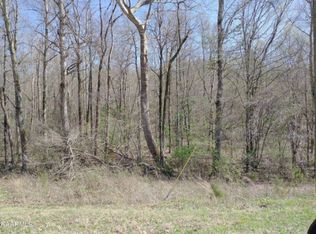Cloyds Creek Rd, GREENBACK, TN 37742