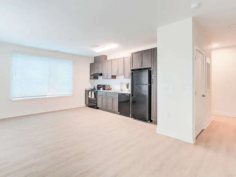 Expansive Open Kitchen With Large Living/Dining Area