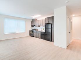 Indigo at McLean Station I