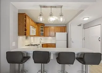 400 E Randolph St #2604 — Photo 12