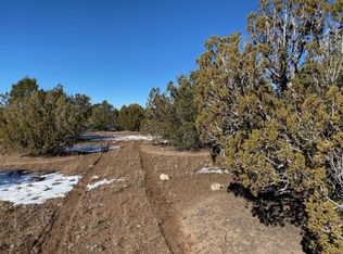 102 E Little Horse Rd, Williams, AZ 86046