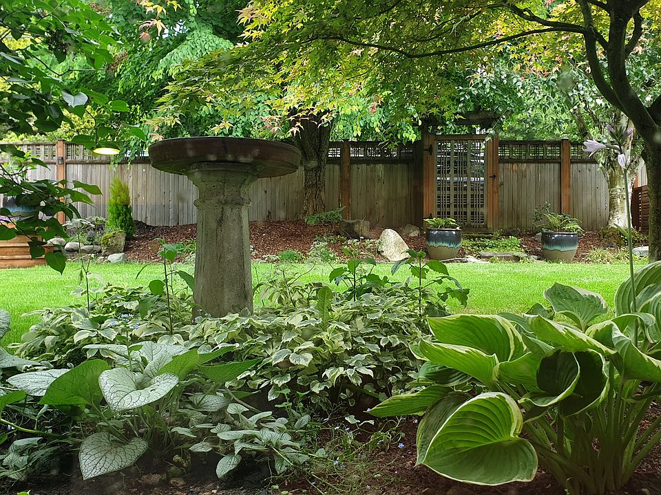 front yard view from unit