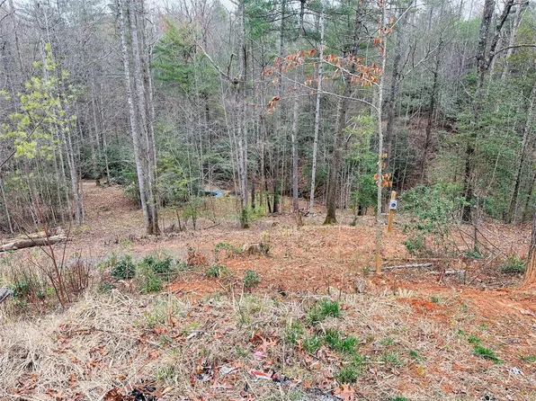 170 Forest Lake Heights Dr, Nebo, NC 28761