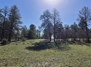 225 Badger Trail, Ridgway, CO 81432