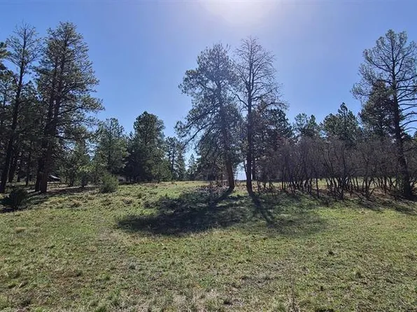 225 Badger Trail, Ridgway, CO 81432