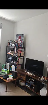 Rented by Manhattan Flats | media 9