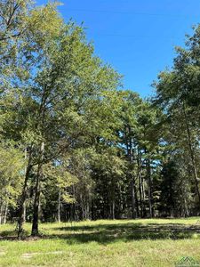 Eastwood Dr, Gilmer, TX, 75645