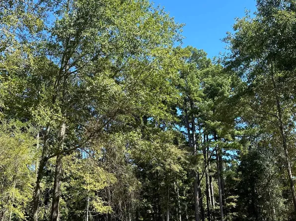 Eastwood Dr, Gilmer, TX 75645