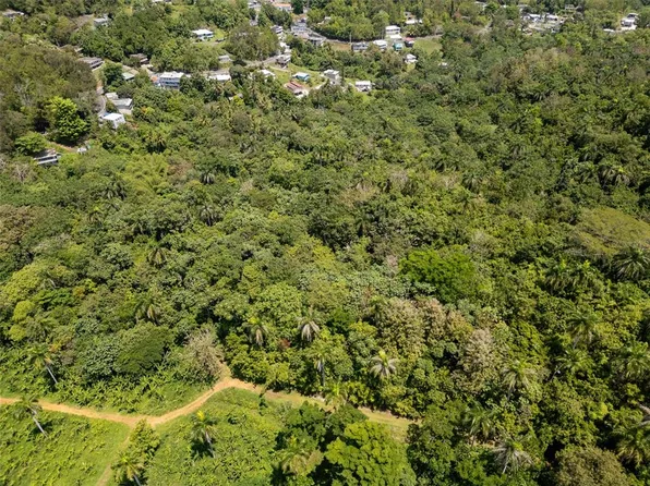 165 Km 7.3 Bo Galateo, Toa Alta, PR 00953