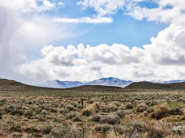 15797 Palomino Ln, Murphy, ID 83650