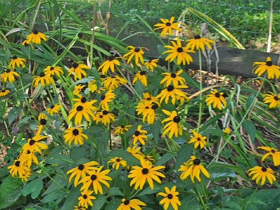 4th image of 17208 Hunter Green Rd