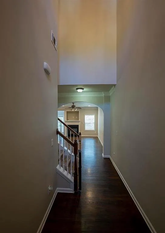 3 bed, 2.5 bath, 2100 sqft, $2,599 — Photo 3