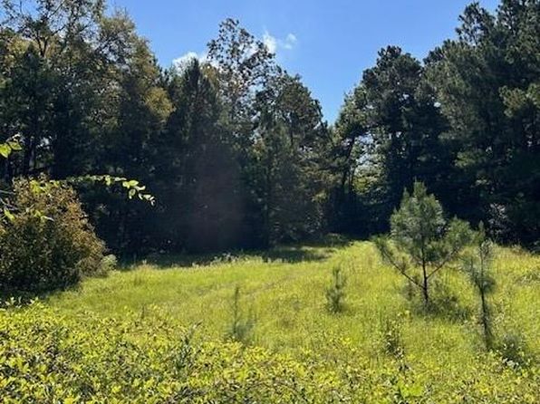 County Road 1755, Grapeland, TX 75844