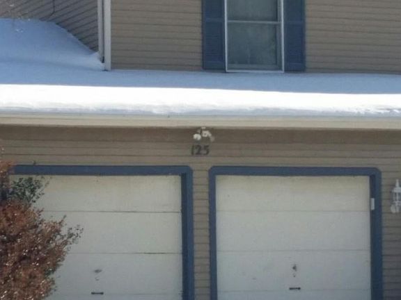 3rd image of 125 Thistlewood Ln