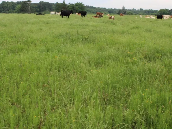 (undisclosed Address), Nashville, AR 71852