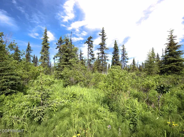 C29 Alaskan Wildwood Rnch, Anchor Pt, AK 99556