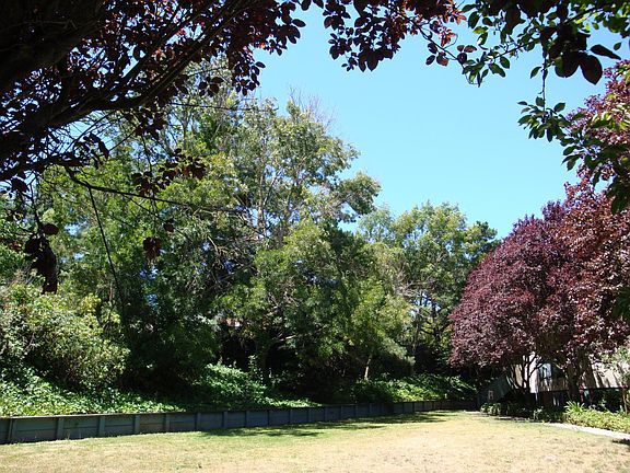 Beautiful park like common area