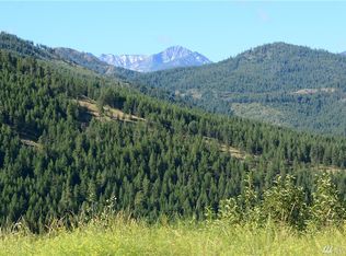 32 Woods Canyon Rd, Twisp, WA 98856