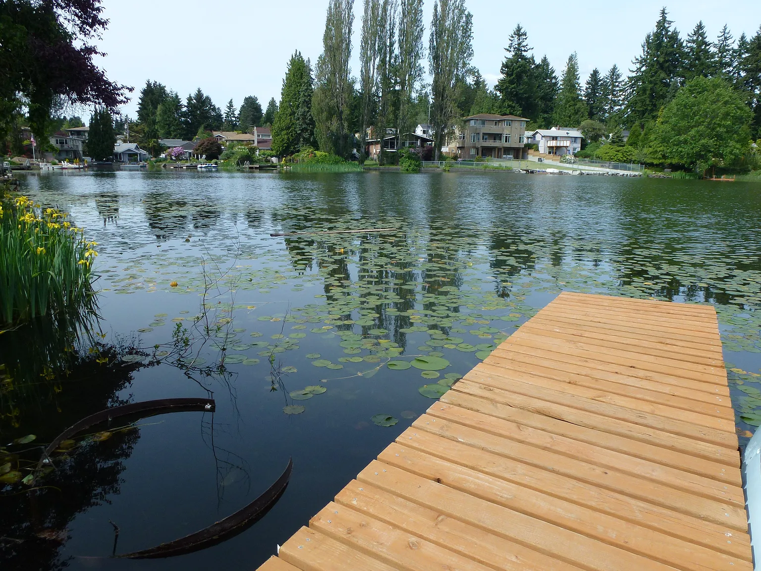 5 bed, 2500 sqft, $4,750 — Photo 3
