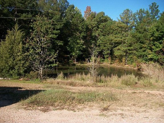 3rd image of 142 Holly Hill Dr