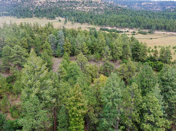 18990 Bellanca Circle, Weston, CO 81091