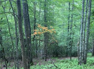 1 Sassafras Ln, Cedar Mountain, NC 28718