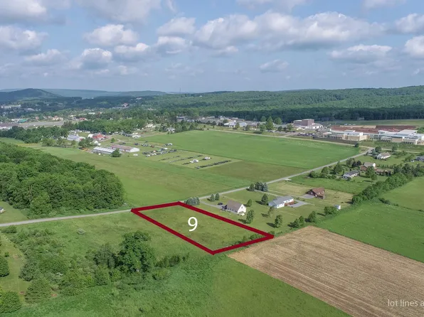 9 Sunset Ridge Dr, Mc Henry, MD 21541