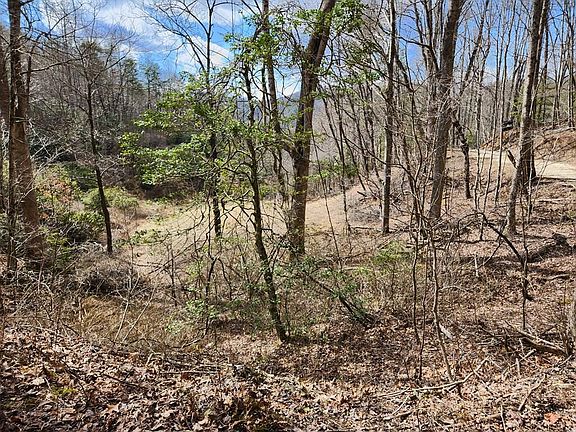 2nd image of 0 Camp Branch Rd