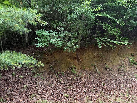 2nd image of Lot 3 Mountain Vista Lane LOT 3