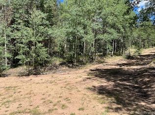 Lot 5655 Highlander Road, Fort Garland, CO 81133