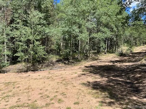 Lot 5655 Highlander Road, Fort Garland, CO 81133