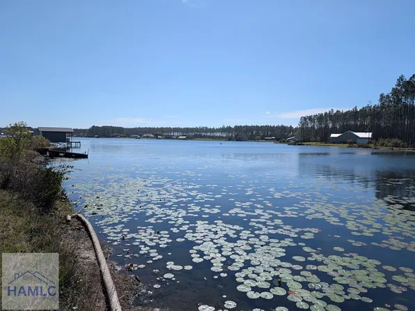 167 Miles Landing Rd, Bristol, GA 31518