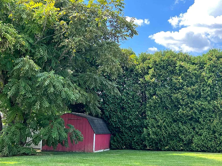 106 Wardel Rd — Photo 8