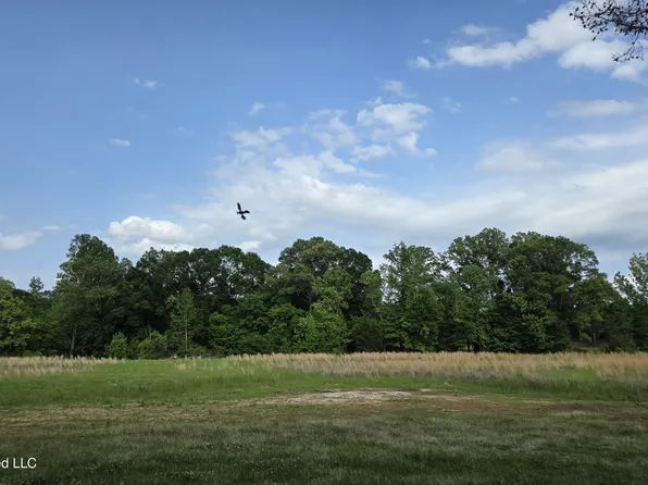 4845 Cayuga Rd, Utica, MS 39175