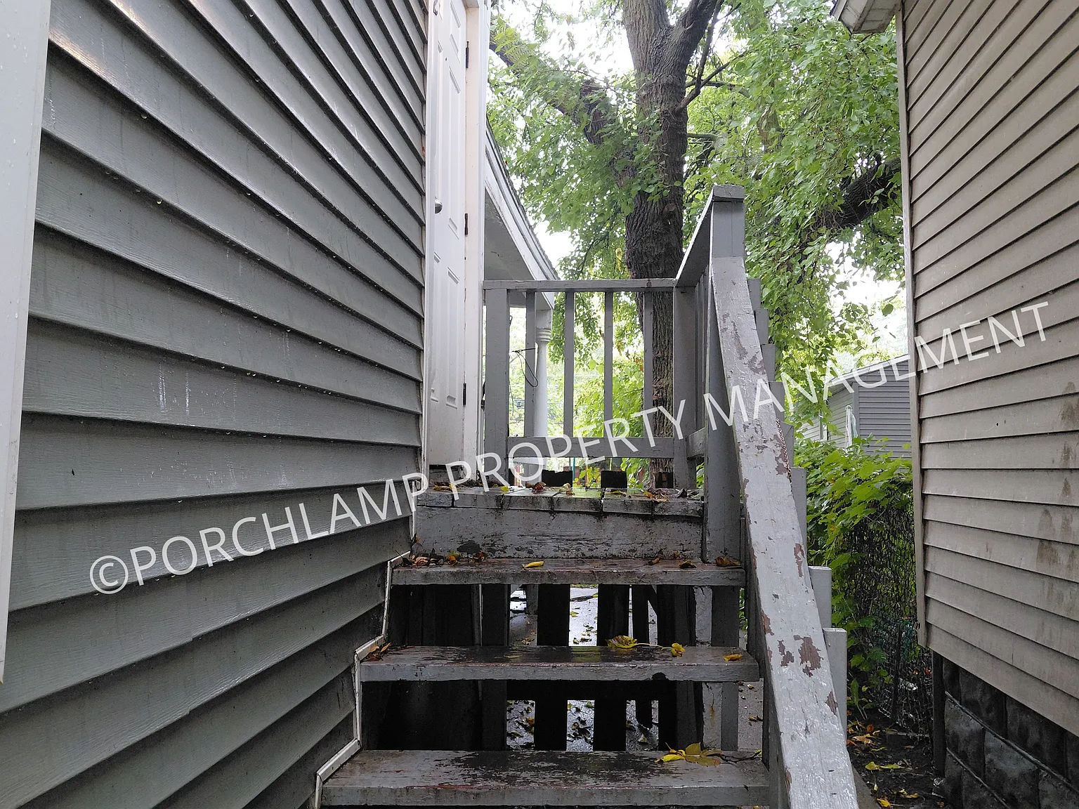2 bed, 828 sqft, $1,250 — Photo 4