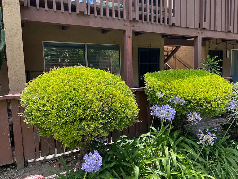 1000 W Macarthur Blvd #67 — Photo 17