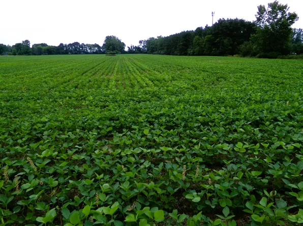 Garfield Rd, Saginaw, MI 48603