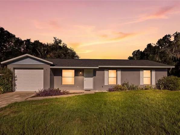 11720 SE 129TH PLACE, OCKLAWAHA, FL 32179