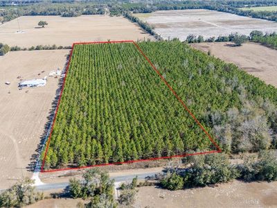 NW 10th Ave, Trenton, FL, 32693