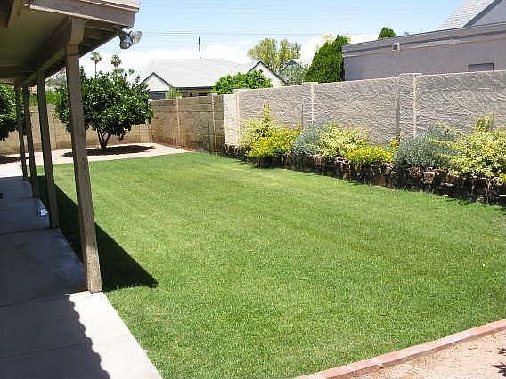 Back yard